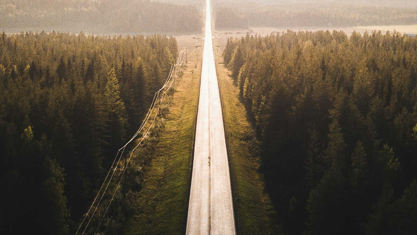 Tie metsän keskellä.